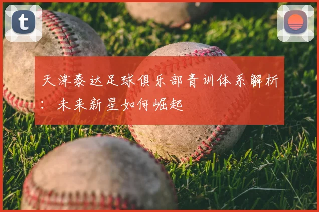 天津泰达足球俱乐部青训体系解析：未来新星如何崛起
