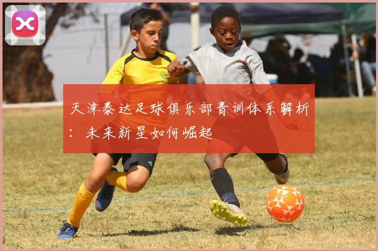 天津泰达足球俱乐部青训体系解析：未来新星如何崛起